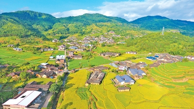 “一体六变”焕发新活力！平远泗水梅畲村引进企业建田园综合体