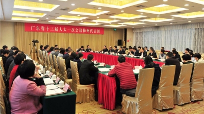 梅州代表团审议省“两院”报告 许瑞生谭君铁方利旭等参加