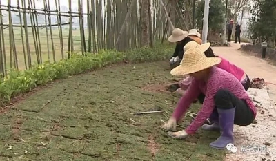 五华又多一个新公园！预计春节前竣工