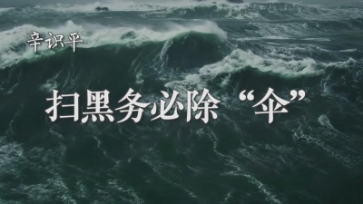 《辛识平：扫黑务必除“伞”》推广物料一览表 