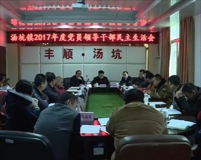 廖茂忠到汤坑镇指导党政领导班子民主生活会