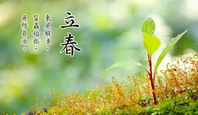 今日立春丨大地回暖 万物生长