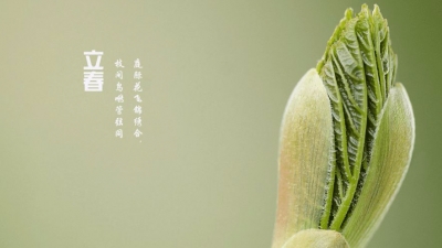 明天5时28分“立春”：寒意犹在，“百草回芽”已不可阻挡