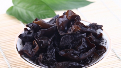 蕉岭长寿健康产业驶进“快车道” 7个项目扎实推进