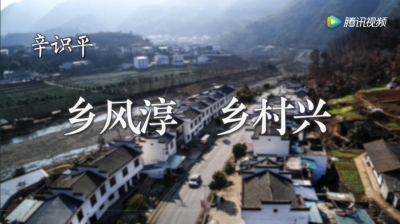 辛识平：乡风淳  乡村兴