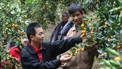 蕉岭将打造田园综合体，发展特色小镇