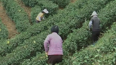 平远：全力打响农业品牌，以质量促增收