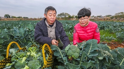 “80后”女大学生返乡创业引热议：有梦想更要有规划