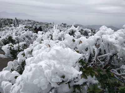 谁说寒冬兴宁无美景？阳天嶂与你共叙“冰雪奇缘”！
