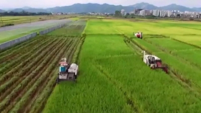 梅县区发展现代农业 助推乡村振兴