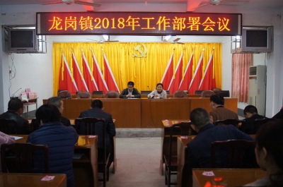 龙岗镇召开2018年工作部署暨全面推进河长制工作会议