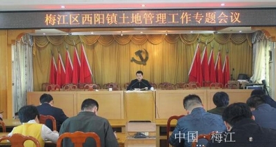 西阳镇多措并举加强土地管理