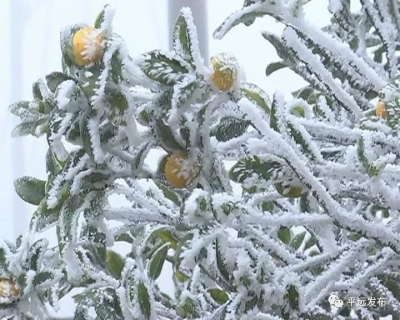 新冷空气明天“到货”！梅州日均气温将下降3到5℃，有霜冻！