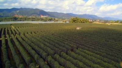 “富硒资源”变“富民产业”，蕉岭打富硒牌助推长寿健康产业