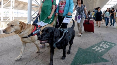 铁路公安再提醒：除导盲犬等工作犬外，其他活物都不能带上车