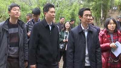 张少康调研平远古驿道修复保护利用工作