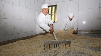 丰顺乡村酿酒师赖伟良：用岁月酿出人生百味