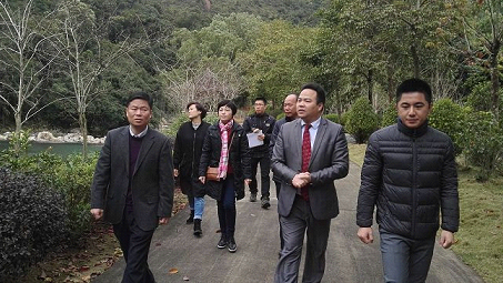 丰顺开展春节前安全工作和市场秩序检查