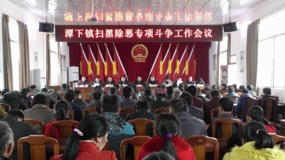 潭下镇召开扫黑除恶专项斗争工作会议
