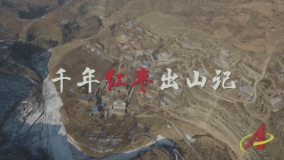 千年红枣出山记