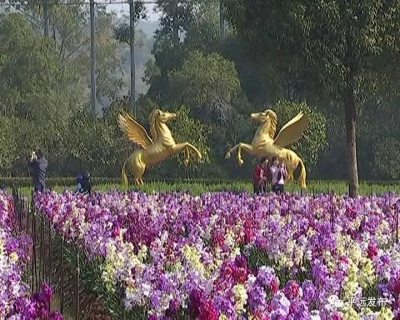 平远景区亲情游红火，在小陪伴中感受大温暖