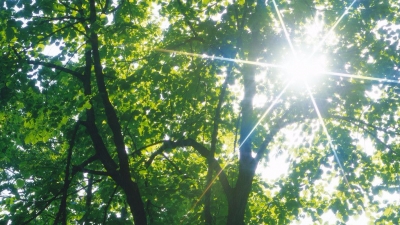 节日期间森林火灾隐患突出 丰顺全力筑牢“防火墙”