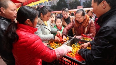 蕉岭县主动作为科学谋划努力打好精准脱贫攻坚战