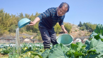 梅县坪畲村这家人精耕园蔬，借助电商将农家风味卖到珠三角