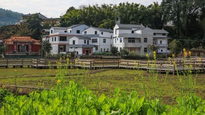 大埔：扎实办好十件民生实事着力改善重点民生