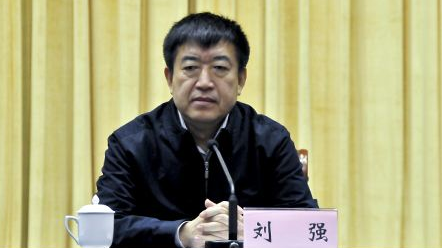辽宁省原副省长刘强严重违纪被开除党籍和公职