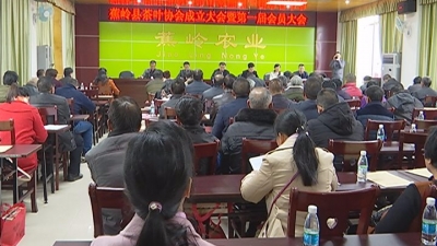 助力打响寿乡茶叶品牌，蕉岭县茶叶协会成立