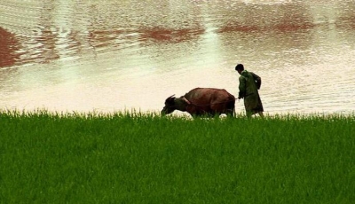 梅县开展“查农资保春耕”专项执法行动