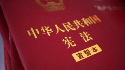 定了！国家主席、总理等依法定程序产生后要进行宪法宣誓