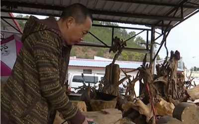 平远市民谈春节收获：新的一年，用奋斗让生活更“旺”！