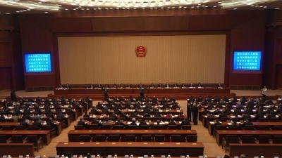 通过！2980名人大代表资格全部有效