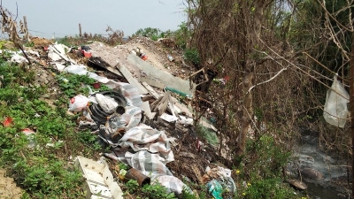 梅江区城北镇一村道旁垃圾成堆 环境受污染