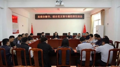 曾永祥参加所在党支部专题组织生活会 