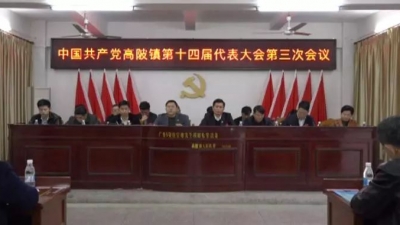 中共高陂镇第十四届代表大会第三次会议召开