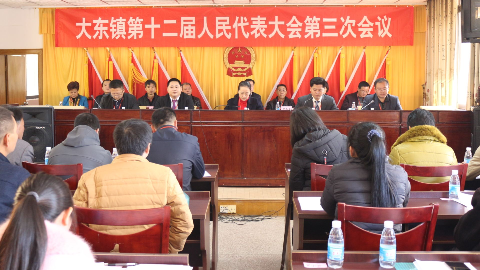 大埔县大东镇十二届人大三次会议召开