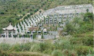 广东加快推动殡葬改革：全面实行节地生态安葬奖补政策