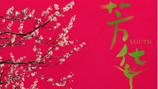 《芳华》等11部国产影片亮相德国中国电影节