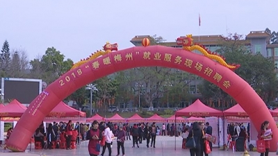 吸引800求职者！蕉岭举行第三场“春暖梅州”招聘会