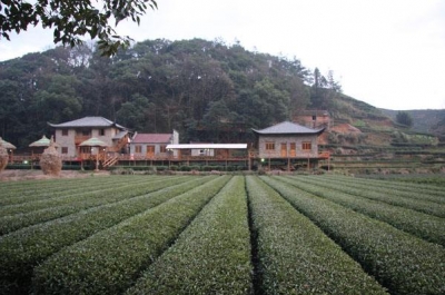 宋才华到大柘镇黄沙村调研：坚持党建引领建设美丽乡村