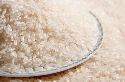 当心！你花高价买来的生态大米，有可能是“假有机”