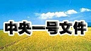 区委理论学习中心组召开会议 学习中央一号文 推进乡村振兴战略