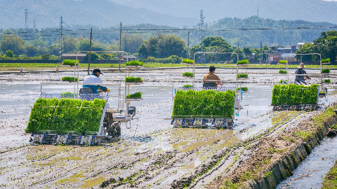 春耕农时至！全市今春计划播种面积216.85万亩