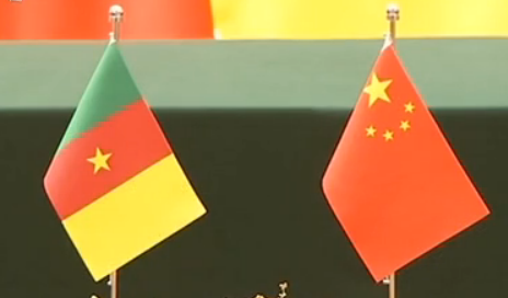 习近平同喀麦隆总统比亚举行会谈 