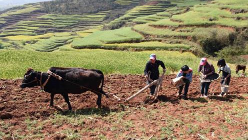 梅江区检查农资市场   30多家农资经营单位受检产品均合格
