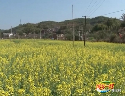 聚焦3·15 旅游维权，这些很重要！