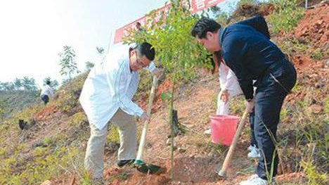 兴宁春季植树造林：备耕基本完成，种植有序推进